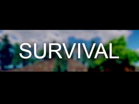 Najlepszy serwer survival 1.17.1
