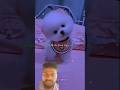 Golo Molu Cute Potato| Slowed reverb| Aesthetic status | Lyrics status |#lyrics#shorts#trending