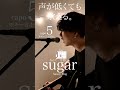 【声が低くても歌える】sugar / Saucy Dog cover自分に合ったキーで気持ちよく歌おう🎤capo5 ※キー5上げ※ #shorts #cover #sugar #saucydog