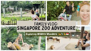 Singapore Zoo Adventure: Exploring Wildlife Wonders with the Family 🦒🐅🌿🇸🇬 | Sandra Faustina by Sandra Faustina 22 views 1 month ago 4 minutes, 35 seconds