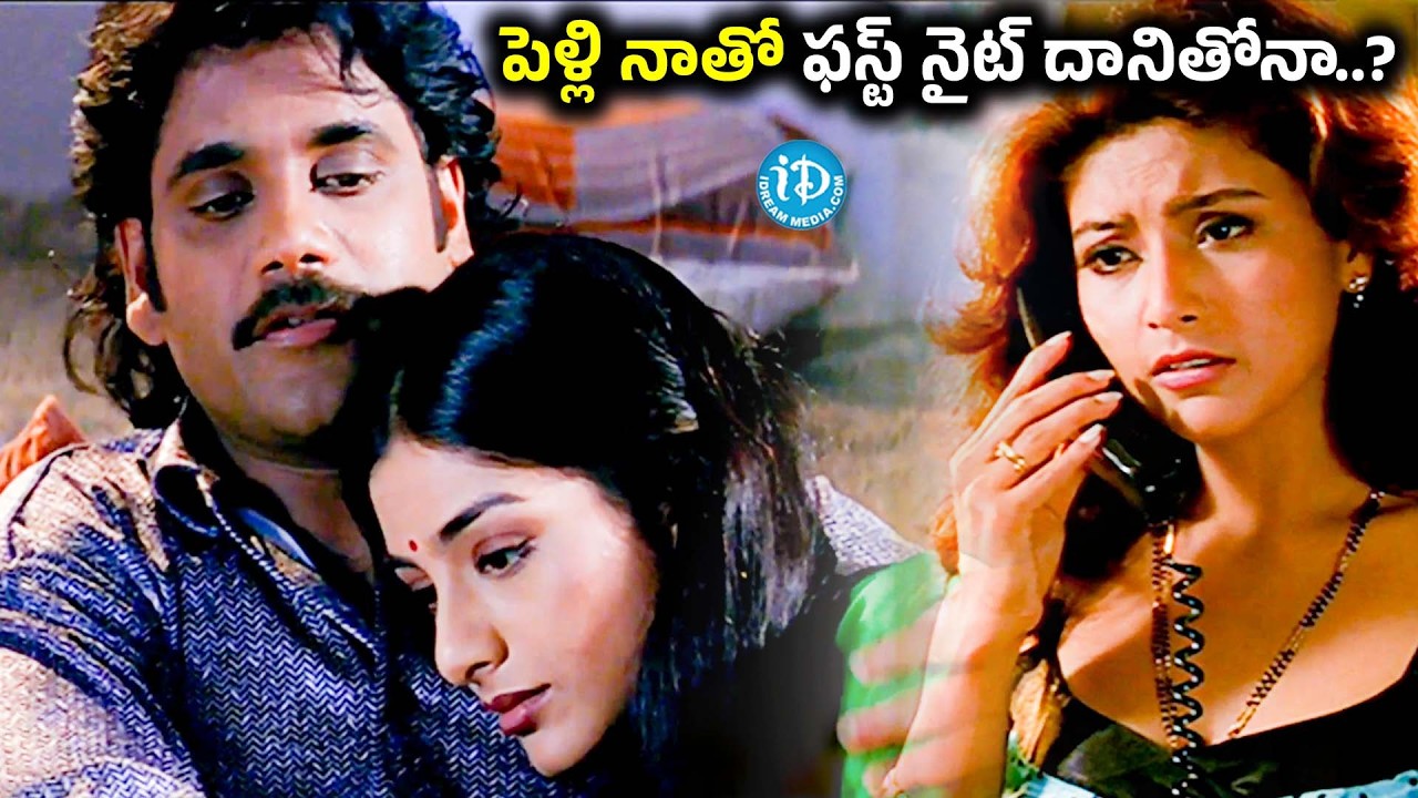 Aavida Maa Aavide Telugu Movie | Nagarjuna & Tabu Interesting Scenes | Brahmanandam Comedy Scenes