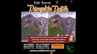 Yule Forest Stockbridge