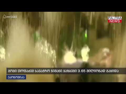 გოგი თოფაძემ სავაჭრო ნიშანი ყაზბეგი 3.65 მილიონად გაყიდა