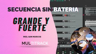 GRANDE Y FUERTE MIEL SAN MARCOS SEC SIN BATERIA