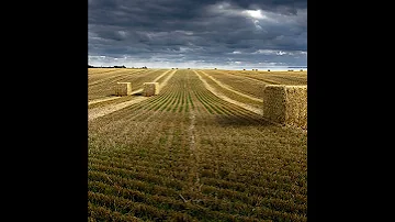 Take A Moment To Slow It Down AgSafe Alberta Reminds Farmers To Keep Safety Top Of Mind During 