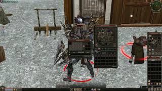 Metin2 Ro Ruby Kirin 260 de coruri si profit de aproximativ 30W  #4