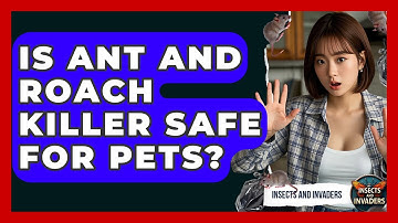 Is Ant And Roach Killer Safe For Pets? - Insects and Invaders