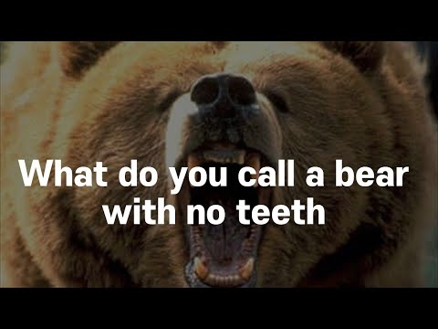 What do you call a bear with no teeth?