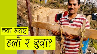 नेपालको हलो र जुवा | Halo and Juwa in Nepal