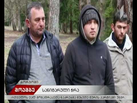 სანიტარული ჭრები ბორჯომში