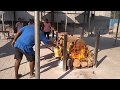 Cremation in India - кремация в Индии