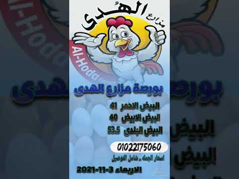 اسعار البيض اليوم مزارع الهدى ايهاب سالم 01022175060