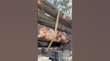 #truck #logging #logs #weldingequipment #construction #treefarming #wood #logger