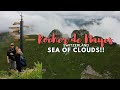 Cog railway Montreux to Rochers de Naye | Switzerland | We are above the clouds!!! 🤩🇨🇭😍 ☁️