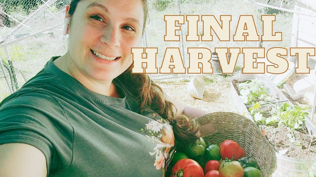 The Last Harvest Of The Season And Putting My Garden To Bed For Winter