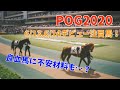 【POG2020】2歳新馬戦注目馬紹介 (6/13,6/14)　今週も大物がデビュー予定！【有力馬候補】