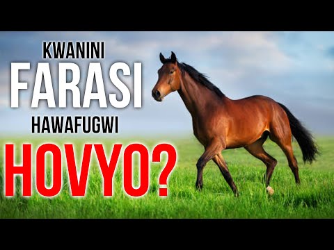 Video: Je, unaweza kuogelea kwenye tarn?