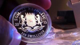 Silver Blite from the Masters Profile