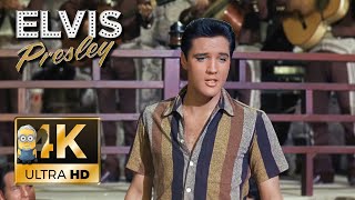 Elvis Presley AI 4K Enhanced ⭐UHD⭐ - Marguerita 1963 Resimi