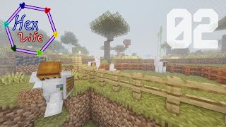 Starting Building | Hex Life | Episode 3