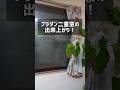 プラダンと配線モールで二重窓DIY　 作り方と効果は関連動画で！ #結露対策 #窓 #中空ポリカ