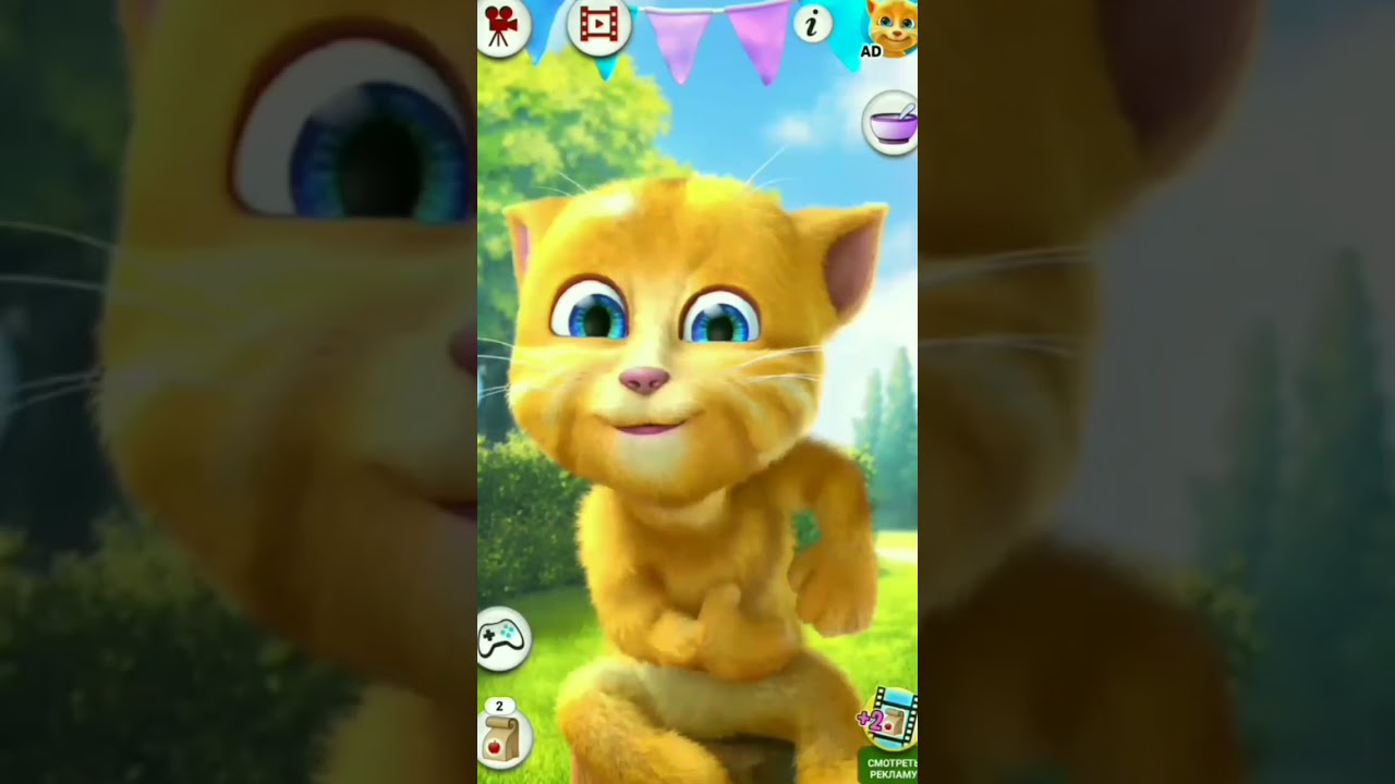 Talking Ginger 2 - Coffin Dance Song Cover