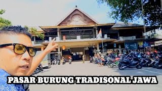 PASAR BURUNG TRADISONAL JAWA