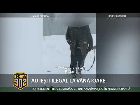 Video: Vânzarea de paleți CHEP este ilegală?