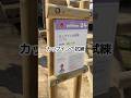 【カップインの試練】#アスレチック#greenia#挑戦