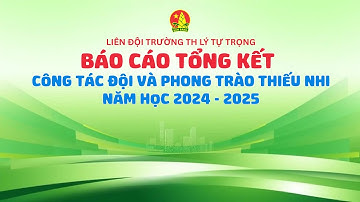 BÁO CÁO TỔNG KẾT CÔNG TÁC  ĐỘI Năm học 2024-2025 Trường Tiểu học Lý Tự Trọng - P. Hoà Bình- Phú Thọ