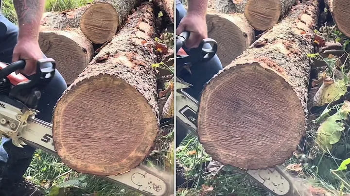 Stihl ms 462 stock vs Stihl RipSaw 500i