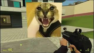 Angry Floppa Vs Angry Cat Garrys Mod