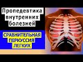 Пропедевтика внутренних болезней | Сравнительная перкуссия легких