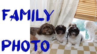 They Won't Sit Still - Day 63 - Puppies Journey