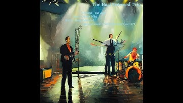 hasj entweed trio -  thousand rats