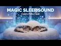 Pet Sleep Therapy Music 8 Hours Calm Healing Frequency Night Sky