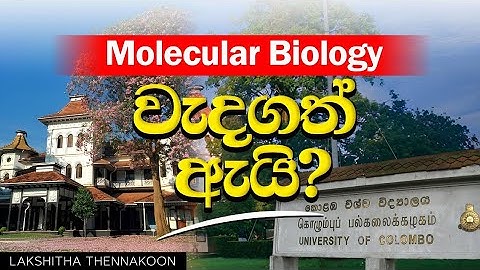 Molecular Biology වැදගත් ඇයි? #lakshithathennakoon  #LTBio