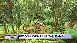 Pesona Indah Wisata Hutan Bambu Semara Ratih Delodsema Village Dari Bali buletininewspagi 1208