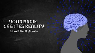The Human Brain Explained | How Thoughts, Memory & Decisions Are Created