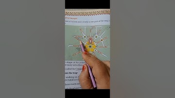 Maths Magic Std 5 Ch 8 Mapping your way. (part 1 textbook)
