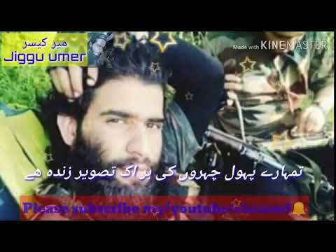 New lyrical emotiona lvideo tribute to our shaheed zakir musa bhai