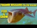 TRAGANDO BOSSES: MOSASAURUS, MEGALODÓN, BALLENA... - FEED AND GROW FISH Actualización