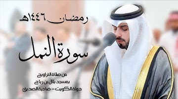 سورة النمل ( تراويح رمضان 1446هـ ) - شايع التميمي