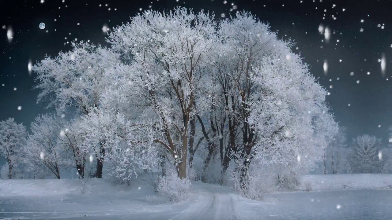 Beautiful Snowfall videos with nature sound for meditation, relaxation, and sleep