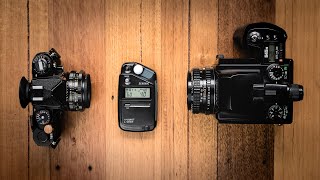Film Photography Settings For Beginners