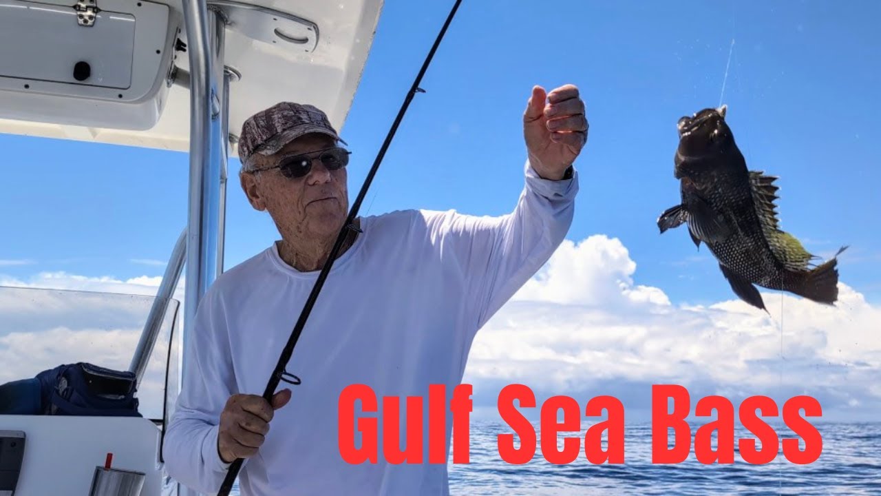 Fishing In Florida's Big Bend
