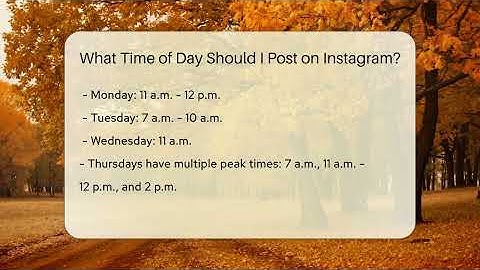 What Time of Day Should I Post on Instagram? - Everyday-Networking