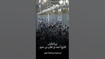 سورة الأحزاب | الشيخ #أحمد_بن_طالب_بن_حميد
