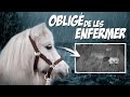 Oblig denfermer mes poneys 