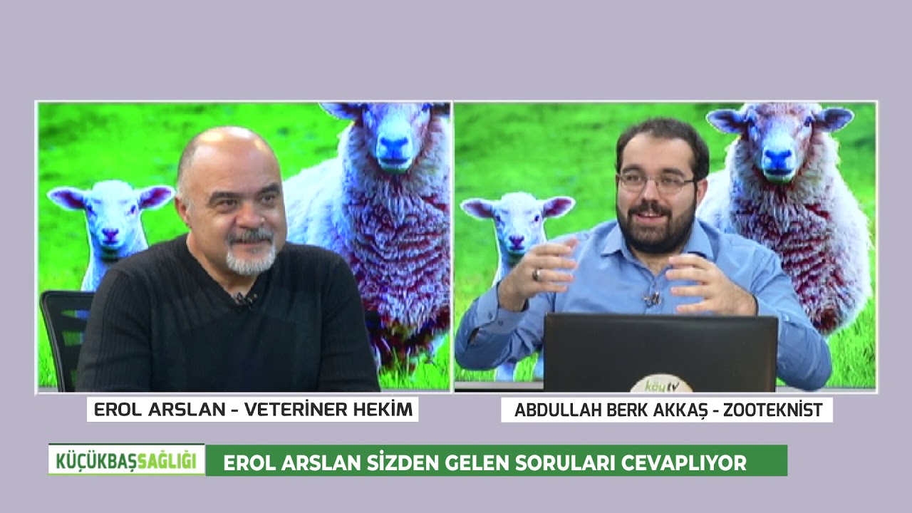 EROL ARSLANLA KÜÇÜKBAŞ SAĞLIĞI | EROL ARSLAN SİZDEN GELEN SORULARI CEVAPLIYOR - 17.01.2021